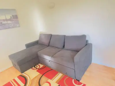 a gray couch in a living room with a rug at Starview Apartment 101 in Colchester