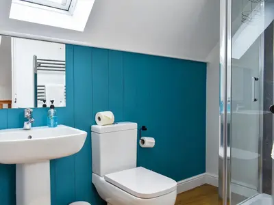 a bathroom with blue walls and a toilet and a sink at Fallow Cottage - Uk33488 in Hadleigh