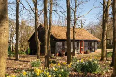 a cabin in the woods with daffodils at The Stables, Theberton in Theberton