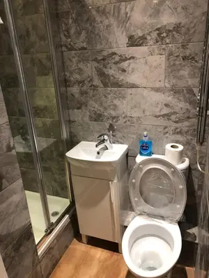 a bathroom with a toilet and a sink and a shower at Sea view studio in Felixstowe