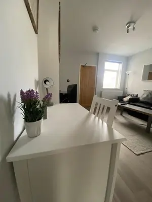 a white table with a potted plant on it in a living room at Eclipse Apartment No 3 in Newmarket