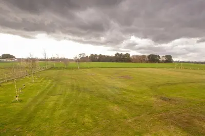 an empty field with trees in the middle of it at White Cottage Apartment in Snape