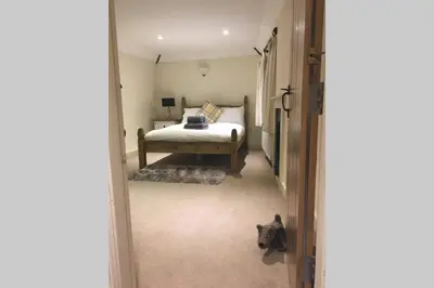a bedroom with a bed and a cat laying on the floor at Quirky 3 bedroom property in Wymondham