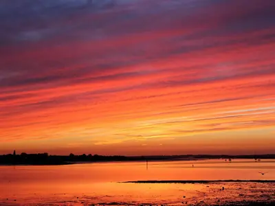 a sunset over a body of water at Curlew in Brightlingsea