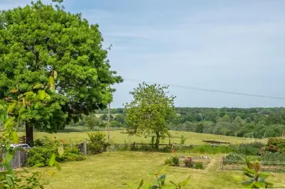 a field with a tree and a fence at Immaculate luxury retreat in pretty village with great pubs - Box Valley Cottage in Stoke by Nayland
