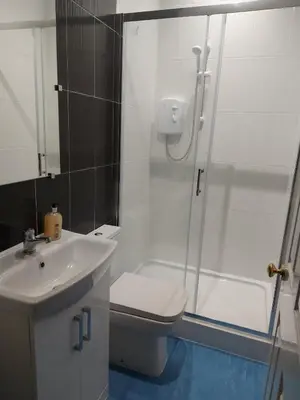 a bathroom with a shower and a toilet and a sink at Queen Suite in Ipswich
