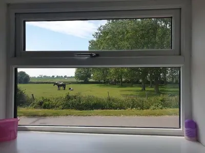 a window with a view of a horse in a field at The Old Dairy Accommodation in Tillingham