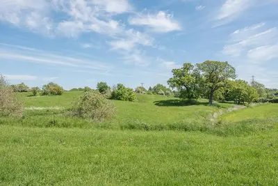 a field of green grass with a tree on it at Geoff's Rest at Pond Hall Farm in Hadleigh with Private Hot Tub in Ipswich