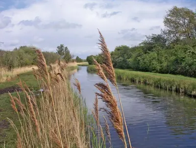 a river with tall grass in the foreground at Mill House Townhouse in Newmarket
