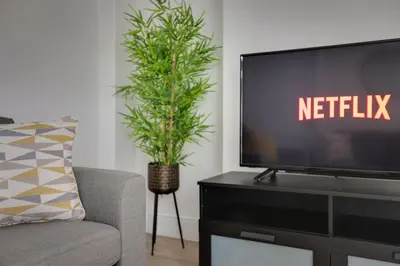 a living room with a tv and a plant at Spacious Three Bedroom House - Free Parking & Wifi in Chelmsford