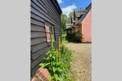 a plant is growing next to a house at Gorgeous comfortable barn with huge private orchard in quiet Suffolk location in Depden