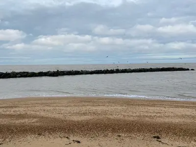 a beach with a group of birds flying over the water at 5 mins walk to beach. 3 bedroom caravan. Sleeps 8 in Clacton-on-Sea