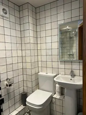 a white tiled bathroom with a toilet and a sink at Guinness Arms in Icklingham