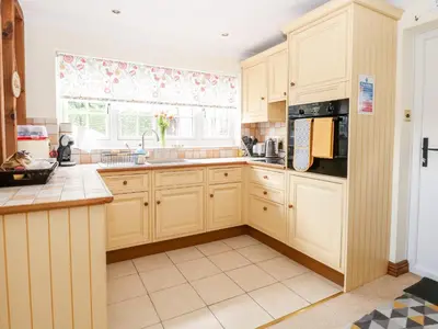 a kitchen with wooden cabinets and a window at Hunters Lodge in Norwich
