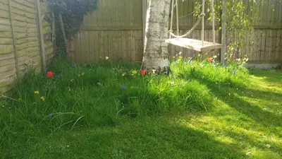 a tree in the grass with a swing at Island Retreat with HotTub in West Mersea