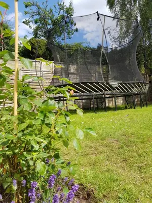 a swing in a garden with purple flowers at Island Retreat with HotTub in West Mersea