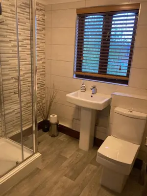 a bathroom with a toilet and a sink and a shower at Burnt Mill Cottage in Burnham on Crouch