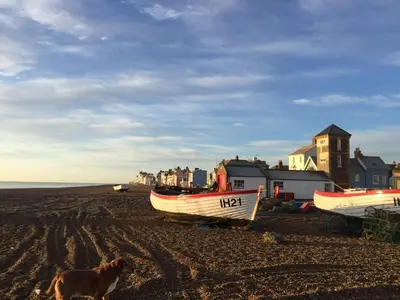 a dog walking on the beach with two boats at Settled In, Aldeburgh in Aldeburgh