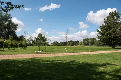 a grassy field with a dirt road in a park at Immaculate barn annexe close to Stansted Airport in Great Dunmow