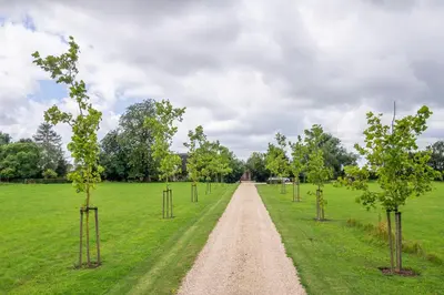 a dirt road with trees in a field at The Granary, Dunstall Green in Denham