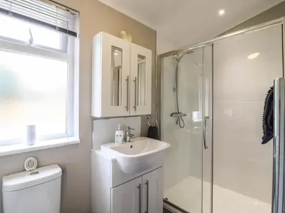 a bathroom with a sink and a shower and a toilet at Lodge 47 in Ipswich