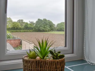a window with a potted plant and a view of a field at Leveret Lodge in Burgh