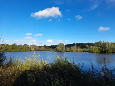 a view of a lake with trees and clouds in the sky at Beautiful Double Bedroom- In a modern 2 bed shared house in Chigwell