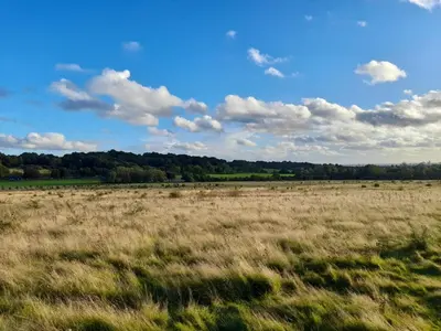 a field of grass with a blue sky and clouds at Beautiful Double Bedroom- In a modern 2 bed shared house in Chigwell