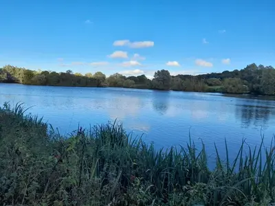 a view of a large lake with trees in the background at Beautiful Double Bedroom- In a modern 2 bed shared house in Chigwell