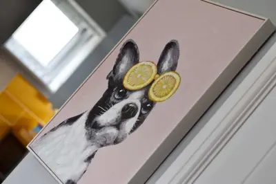 a picture of a dog with two lemons on its face at Modern Luxury 1 bed apartment with parking near Stansted Airport in Stansted Mountfitchet