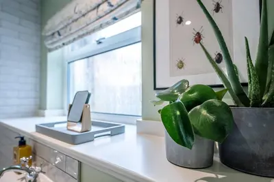 a kitchen counter with a potted plant and a window at Festival House, Snape in Saxmundham