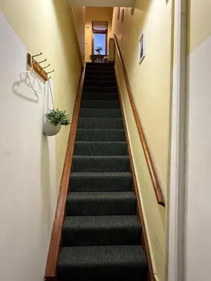 a flight of stairs in a building with a plant at Cosy central 1 bedroom flat near city centre & station in Cambridge