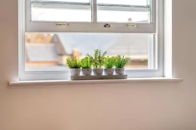two plants sitting on a window sill at 2BR Apartment Near Stansted Airport & Bishop Stortford in Bishops Stortford