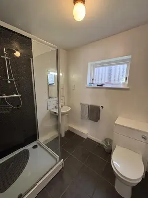 a bathroom with a shower and a toilet and a sink at The Half Moon Inn Rushall IP21 4QD in Pulham Saint Mary the Virgin