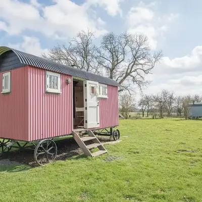 Thyme Shepherds Hut Boundary Farm
