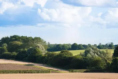 a view of a field with trees and a sky at The Stables, relax in 5 star style and comfort with lovely walks all around in Great Maplestead