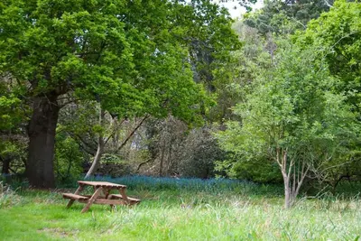 a wooden picnic table sitting in the middle of a field at Queenies, an authentic Rural Style coastal cottage in a Nature Reserve in Farnham