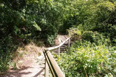 a set of stairs leading up to a stairway with trees at The Old Monkey, a quirky bolthole on the edge of a historic Market Town in Hadleigh