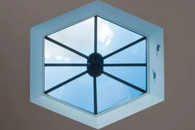 a ceiling with a glass window with birds in it at The Hexagon, wow what a location, views over the Essex marshes and sea in West Mersea