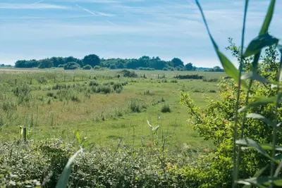 a field of grass with trees in the distance at The Hexagon, wow what a location, views over the Essex marshes and sea in West Mersea