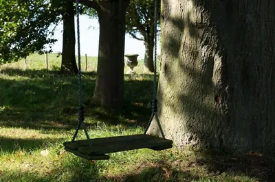 a swing hanging from a tree in a park at Deepwell Granary is a lovely thatched barn with attached meadow woodland in Buxhall