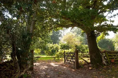 a wooden gate under a tree next to a fence at Laundry Cottage in a Nature Reserve - Sunday Times 100 coolest Cottages in Farnham