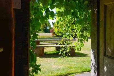 a park bench sitting in the middle of a field at Farm Cottage a cute C17th cottage a walk across the fields to a great pub in Edwardstone