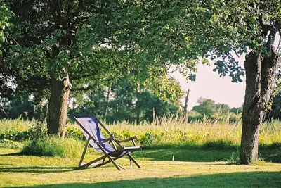 a chair sitting in the grass next to two trees at Orchard Cottage cosy rustic comfort just across the fields to a great Pub in Edwardstone