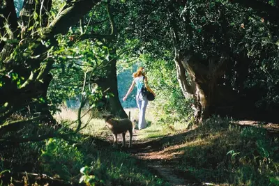 a woman walking down a path with a dog at Rose Cottage rural cosiness with footpaths to the local Macro Brewery Pub in Edwardstone