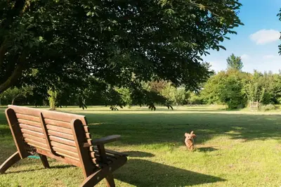 a dog standing next to a bench in a park at Snow Cottage laid back style with footpaths to a great Macro Brewery Pub in Edwardstone
