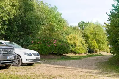 a white car parked on a dirt road next to trees at Snow Cottage laid back style with footpaths to a great Macro Brewery Pub in Edwardstone