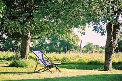 a chair sitting in the grass next to two trees at Dons Barn a Stunning cottage just a walk across the fields to a great pub in Edwardstone