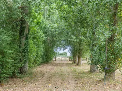 a path with trees and a fence in the distance at John Fanner Barn - Uk37102 in Mellis