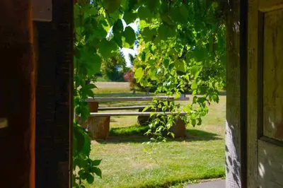 a park bench sitting in the middle of a field at The Bakery a honeymooners favourite cosy stylish with lovely walks and pubs in Edwardstone